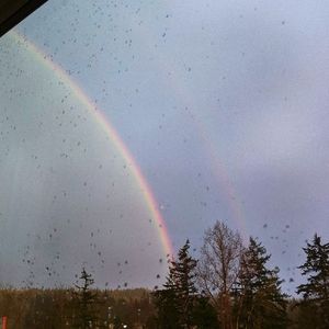 Meet your Posher, Taro